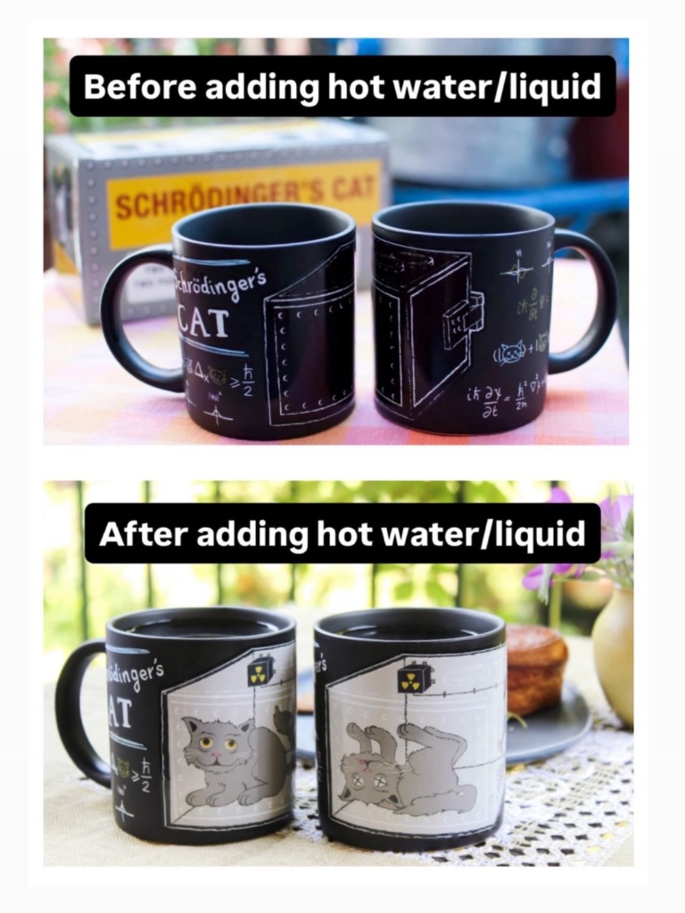Schrödinger’s Cat Mug Set 
The Unemployed Philosophers Guild 
Like New